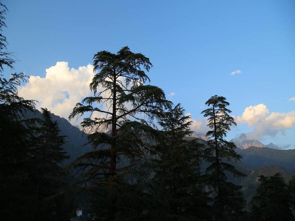 D'S Casa Hotel McLeod Ganj Exterior photo